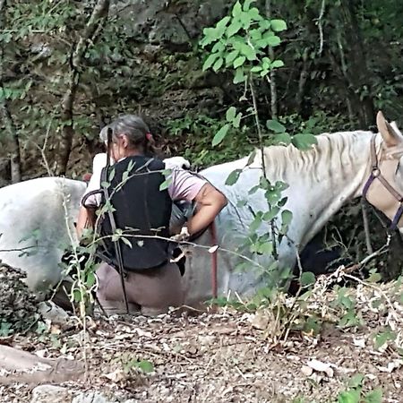 Ostello La Miniera Massa Marittima Kültér fotó