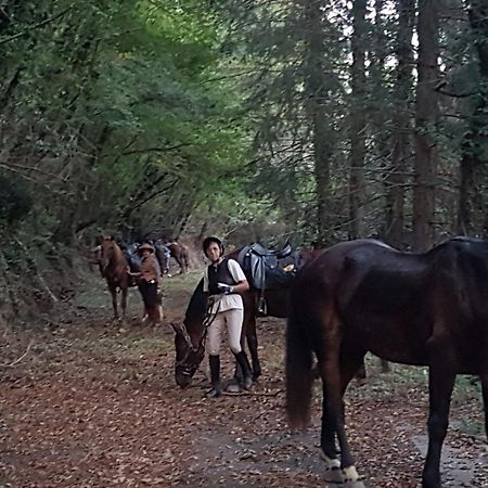 Ostello La Miniera Massa Marittima Kültér fotó